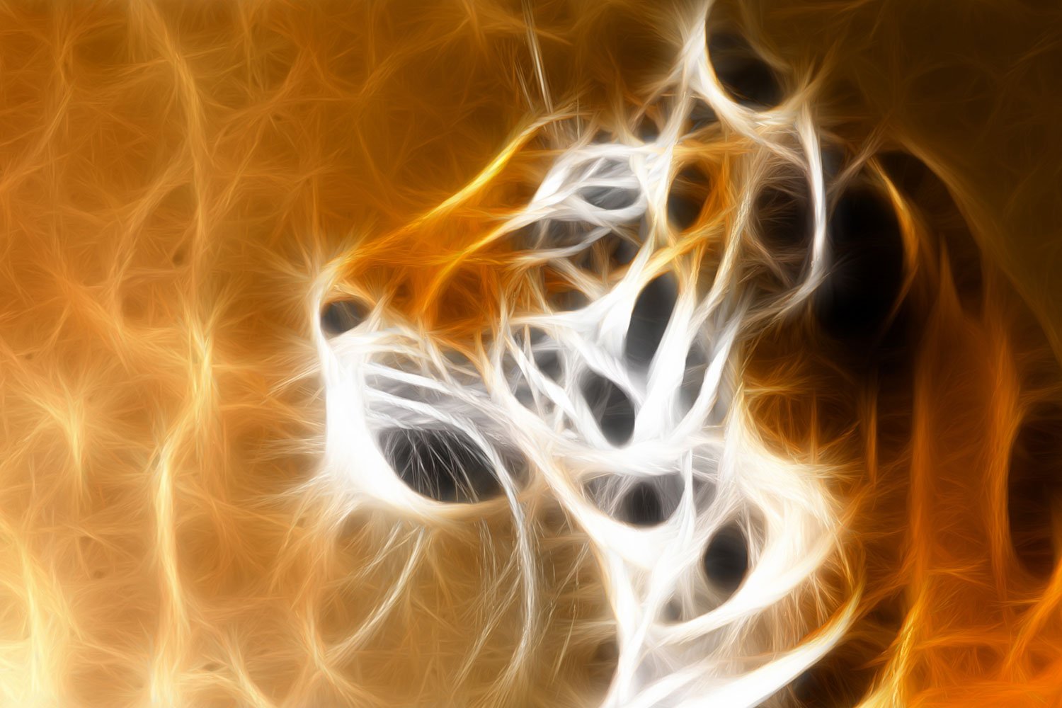 Flaming_Tiger_f | Print A Wallpaper